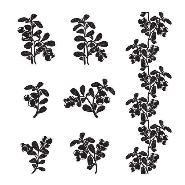 Lingonberry rami silhouette — Vettoriale Stock