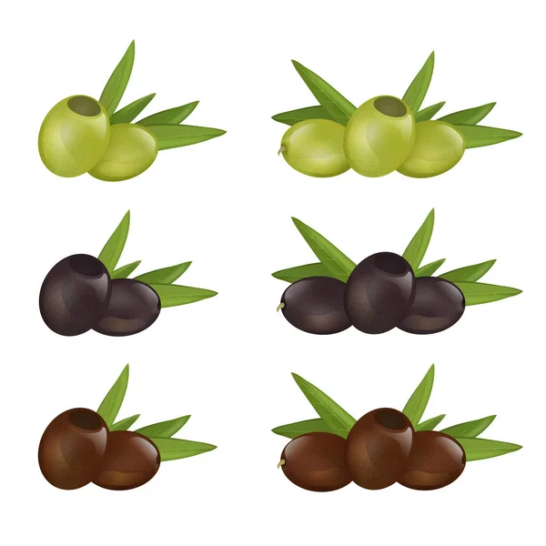 Set of different color olives with leaves — Stock Vector