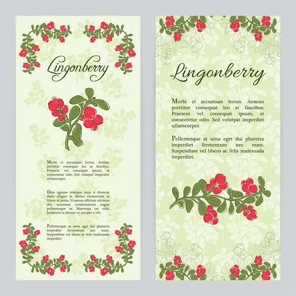 Modelo de folheto Lingonberry — Vetor de Stock