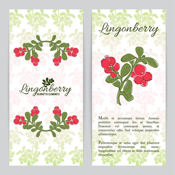 Modelo de folheto Lingonberry —  Vetores de Stock