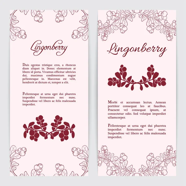 Modelo de folheto Lingonberry —  Vetores de Stock