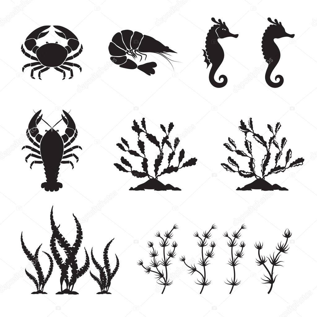 Sea life silhouettes