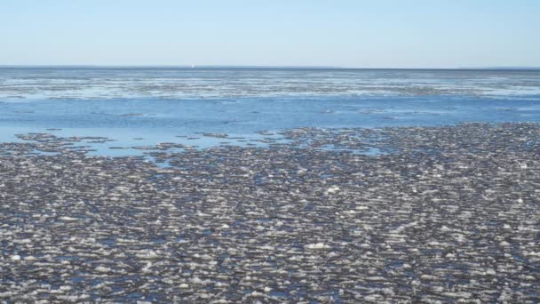 Παγόβουνα Ταλαντεύονται Στα Κύματα Του Κόλπου Στις Ακτίνες Του Ήλιου — Αρχείο Βίντεο