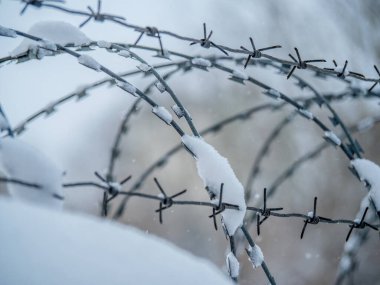 Karla kaplı dikenli tellerle kaplı kış manzarası