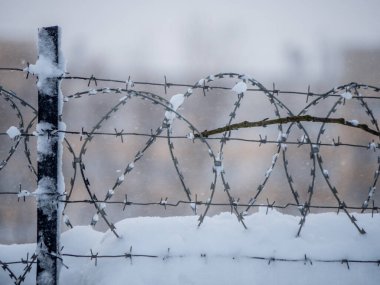 Karla kaplı dikenli tellerle kaplı kış manzarası
