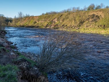 Ufuk boyunca akan bir turba nehri yüksek bir banka ve bir Bush ile. Bahar, güneşli bir gün..