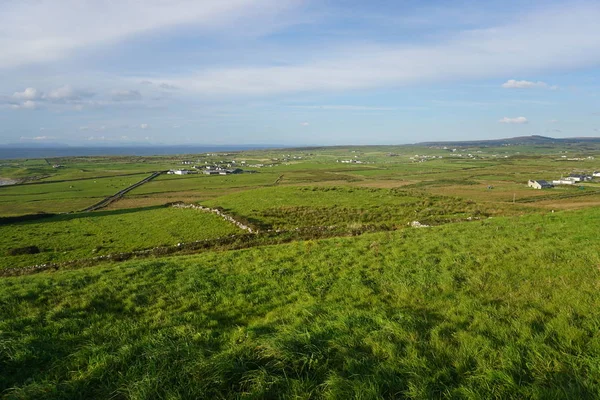 Yeşil çim alanlar İrlanda
