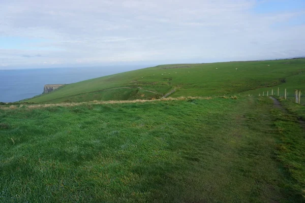 Yeşil çim alanın üst kısmında uçuruma