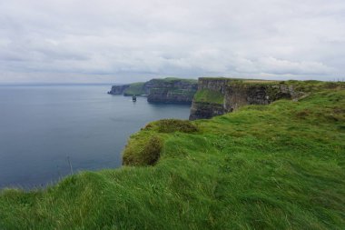 Yeşil çimenlerin üzerinde Moher kayalıklarla