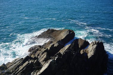 Dalgalar deniz kenarı buzlu isabet