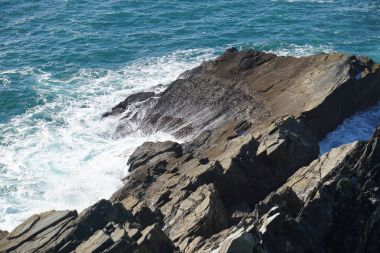 Dalgalar deniz kenarı buzlu isabet