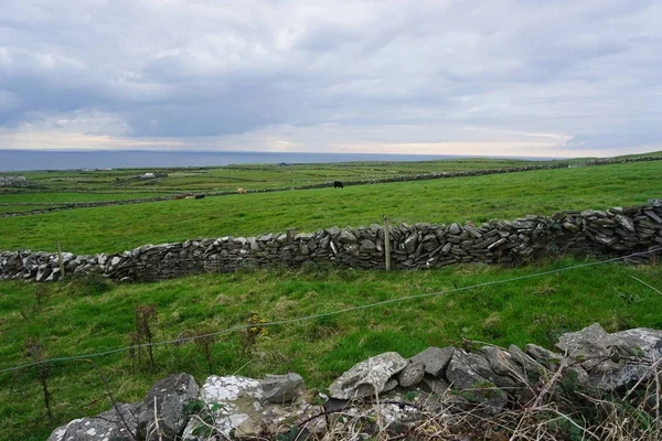 Taş duvarlar İrlanda