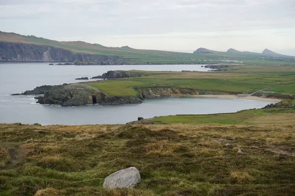 Atlantik Okyanusu kıyısında yeşil çim, Irlanda