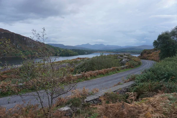 Gölün yanında bir yol