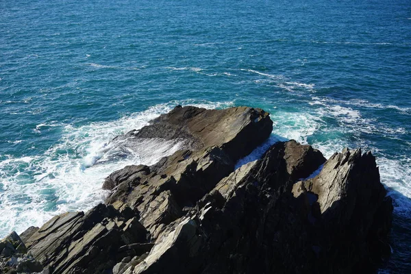 Dalgalar deniz kenarı buzlu isabet