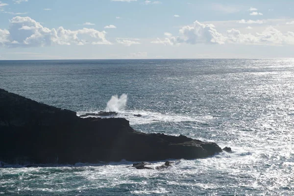 Dalgalar kıyıya buzlu isabet