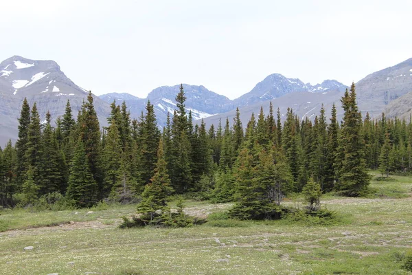 Majestic Mountain Vista