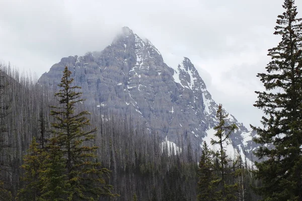 Majestic Mountain Vista