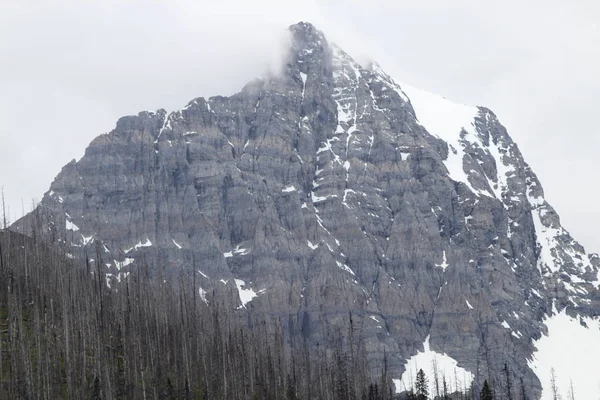 Majestätischer Blick auf die Berge — Stockfoto