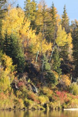 Sonbaharın güzelliği