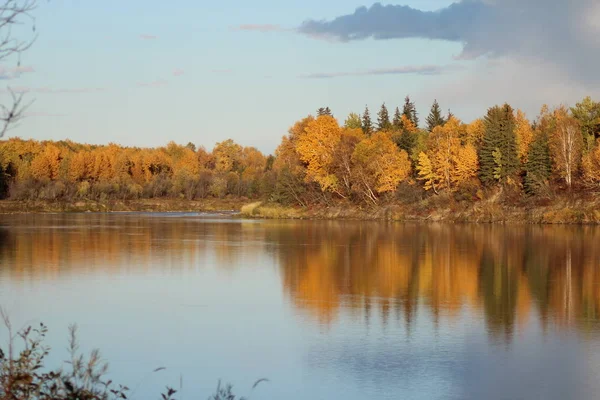 La bellezza dell'autunno — Foto Stock