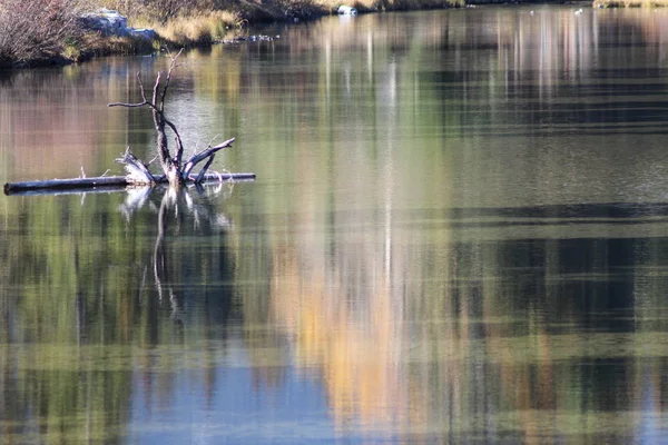 Reflexiones en un río — Foto de Stock