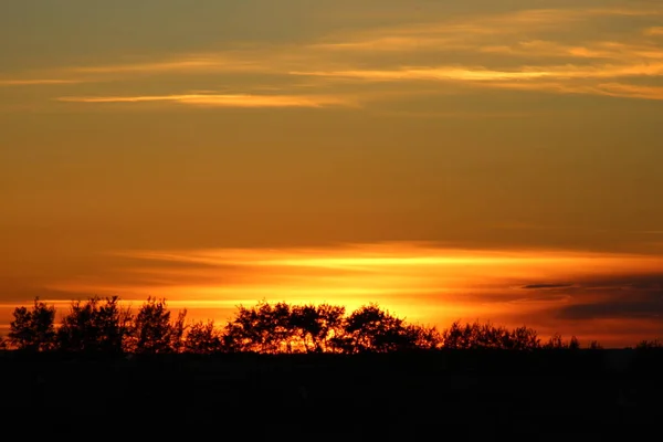 Puesta de sol detrás de árboles Imagen De Stock