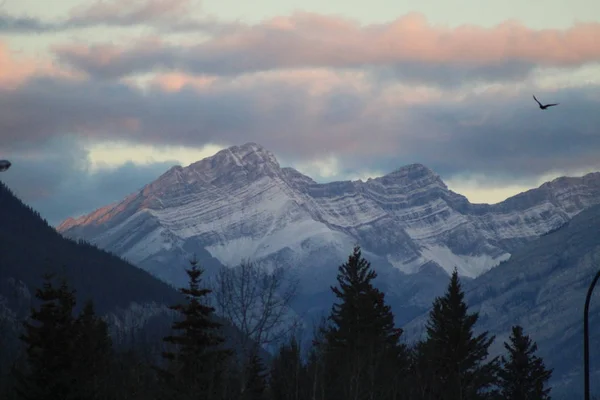 Vista Alpina Alta — Fotografia de Stock