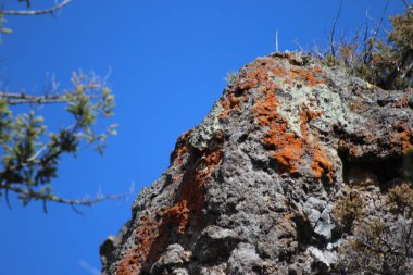 Bir dağ yolu boyunca sahne
