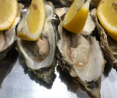 Gri metalde limonlu istiridye