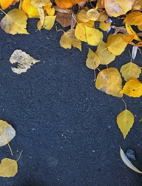 Фон жовте осіннє листя на тротуарі — стокове фото