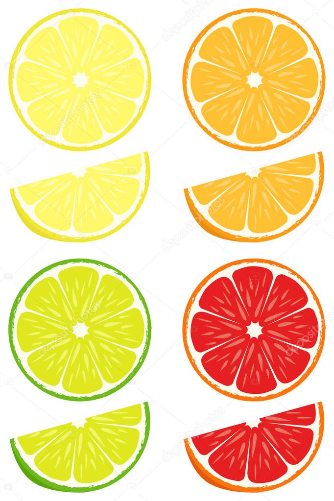 Citrus slices vector set