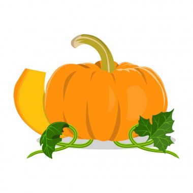 beyaz arkaplanda izole edilmiş balkabağı.