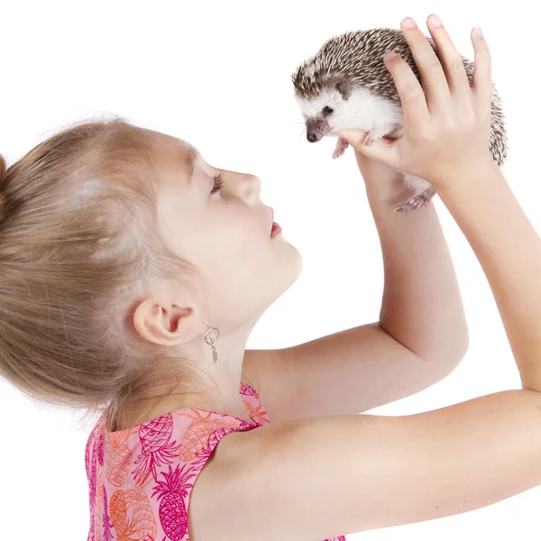 Close up van een jong meisje die houdt van haar huisdier egel — Stockfoto