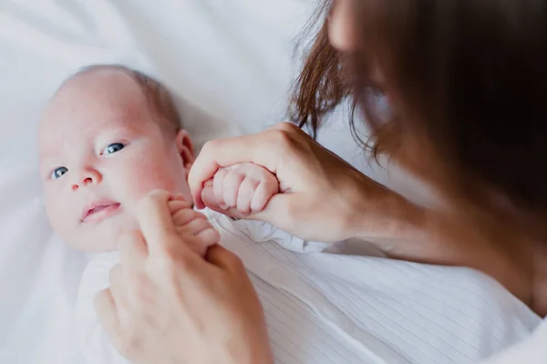 Mani di un neonato nelle mani della madre — Foto Stock