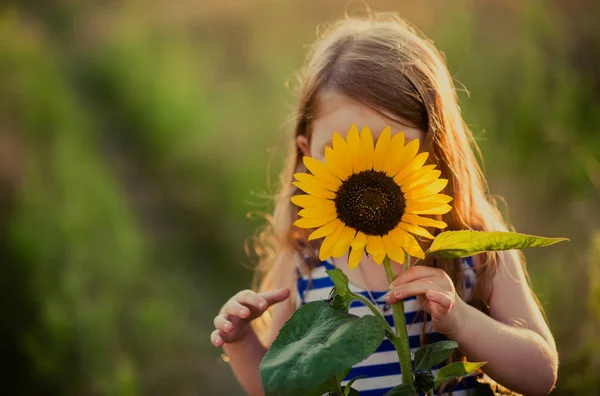 向日葵的花朵在孩子的手中 — 图库照片