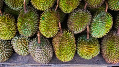 Endonezya 'dan büyük bir Durian Fruit grubu