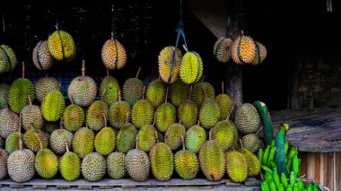 Endonezya 'dan büyük bir Durian Fruit grubu