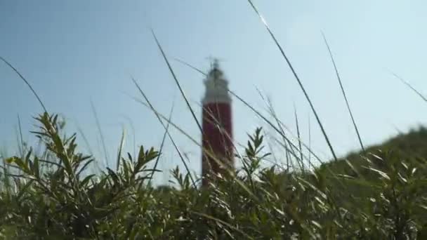 Farol Através Dos Juncos Mar Norte Nos Países Baixos — Vídeo de Stock