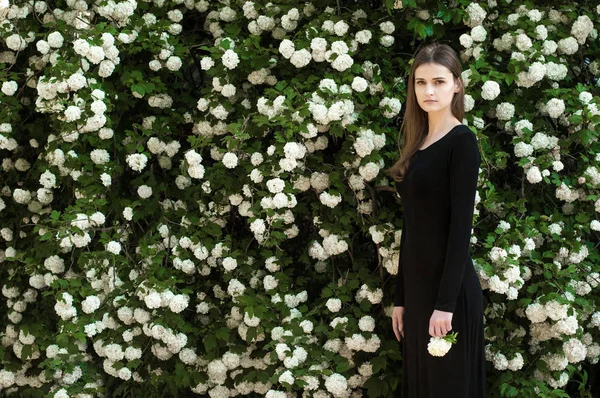 Genç kız çiçek açan bir arka plan üzerinde beyaz kartopu.