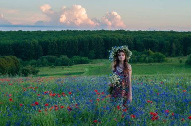 Çiçek çelenk kızla. Bir çelenk yaz çiçek niteliğine Ukraynalı kız güzel yüzü.