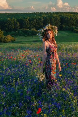 Çiçek çelenk kızla. Bir çelenk yaz çiçek niteliğine Ukraynalı kız güzel yüzü.