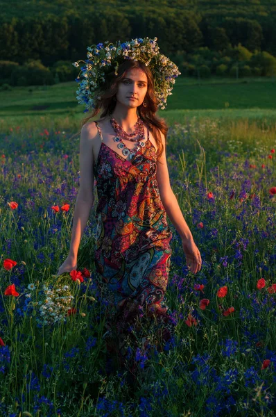 Çiçek çelenk kızla. Bir çelenk yaz çiçek niteliğine Ukraynalı kız güzel yüzü.