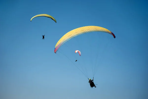 Yaz güneşli gün üç Yamaçparaşütü sinek. Karpatlar, Ukrayna. — Stok fotoğraf