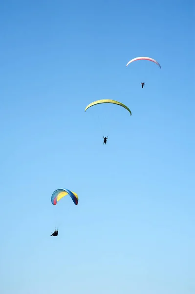 Yaz güneşli gün üç Yamaçparaşütü sinek. Karpatlar, Ukrayna. — Stok fotoğraf