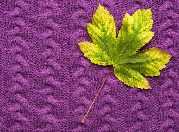 Folha de bordo em uma camisola de malha roxa. Fundo com folhas brilhantes de outono . — Fotografia de Stock