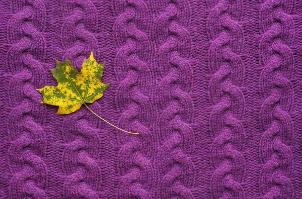 Folha de bordo em uma camisola de malha roxa. Fundo com folhas brilhantes de outono . — Fotografia de Stock