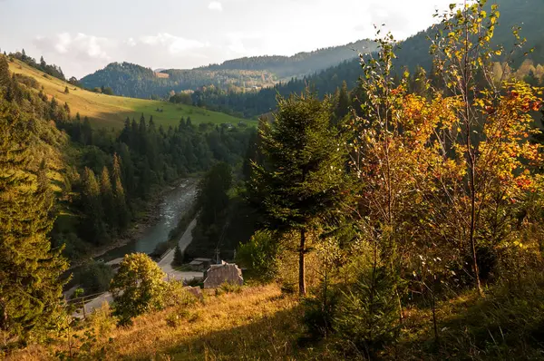 Romantic autumn landscape in the Carpathians. Yellow leaves on the tops of trees. — Stock Photo, Image