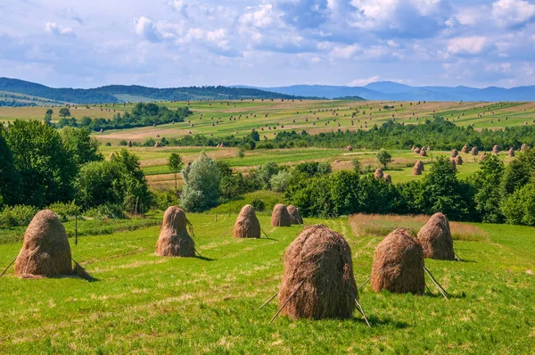 Сільської місцевості; Ей ТІС поле на горі в Україні. — стокове фото