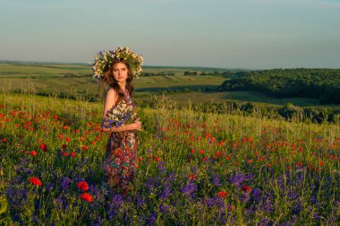 Çiçek çelenk kızla. Bir çelenk yaz çiçek niteliğine güzel Ukraynalı kız portresi. Haşhaş alanla gurl.